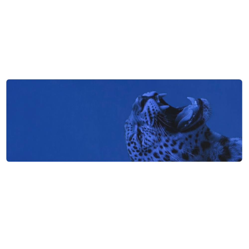 Blue Leopard Yoga & Pilates Grounding Mat